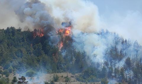 Bilecik'te Orman Yangınına Müdahale Başlatıldı