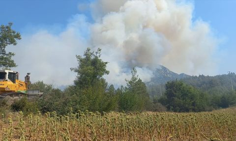 Bilecik'te Orman Yangını Kontrol Altına Alındı