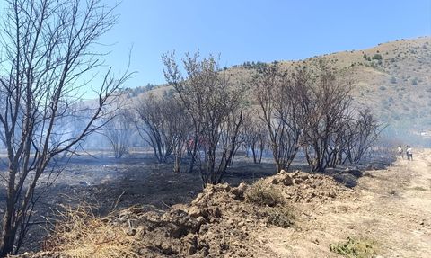 Bilecik'te Tarım Arazisinde Yangın Kontrol Altına Alındı