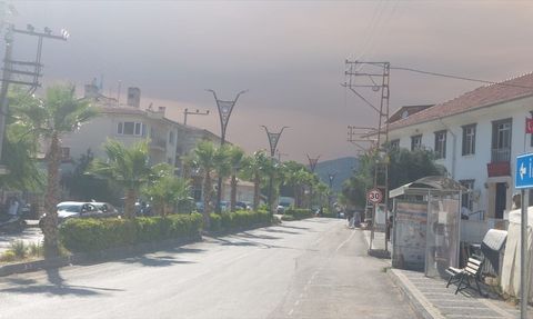 Bilecik'teki Orman Yangını Dumanı Eskişehir'i Etkiledi