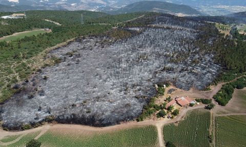 Bilecik'teki Orman Yangını Kontrol Altına Alındı