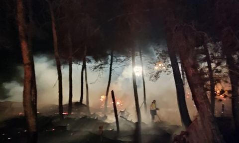 Bilecik'teki Yangın: Çiftlikte 95 Hayvan Telef Oldu