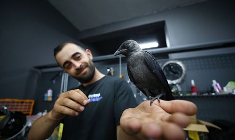 Bingöl'de Motosiklet Teknisyeninin Karga Dostluğu: Şimşek