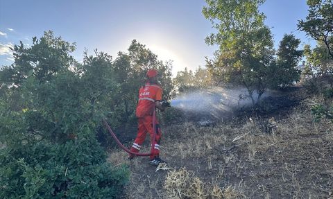 Bingöl'de Orman Yangını Kontrol Altına Alındı