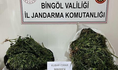 Bingöl'de Uyuşturucu Operasyonu: 17 Kilo Esrar Ele Geçirildi