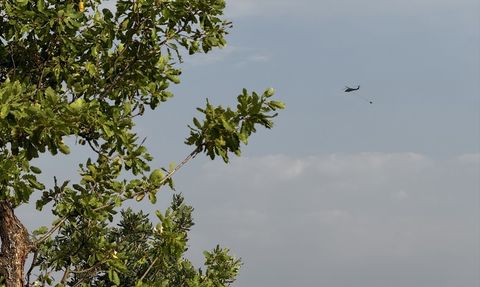 Bingöl'deki Orman Yangınları Kontrol Altına Alındı