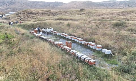 Bitlis Eren Üniversitesi'nde Bal Hasadı Heyecanı