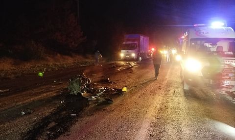 Bolu'da Geyikle Çarpışan Araçta Maddi ve Manevi Kayıplar