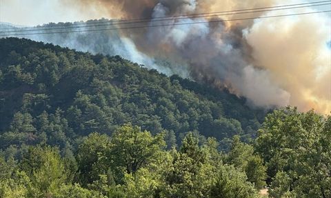 Bolu'da Orman Yangınına Hızla Müdahale Ediliyor