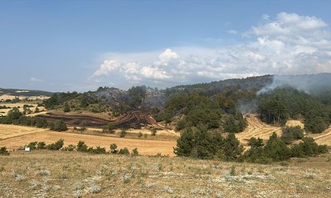 Bolu'da Orman Yangınlarıyla Mücadele Devam Ediyor