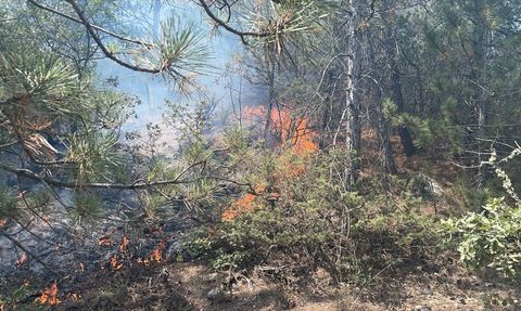 Bolu'daki Orman Yangını Kontrol Altına Alındı