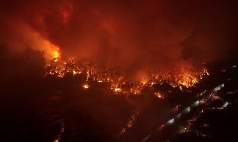 Buca'da Orman Yangınına Hızlı Müdahale