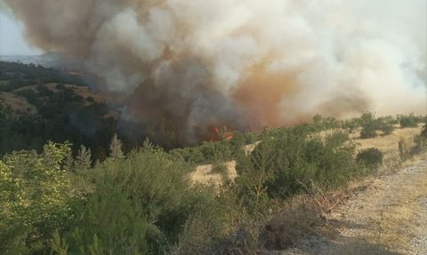 Bursa-Balıkesir Sınırındaki Orman Yangınına Müdahale Devam Ediyor