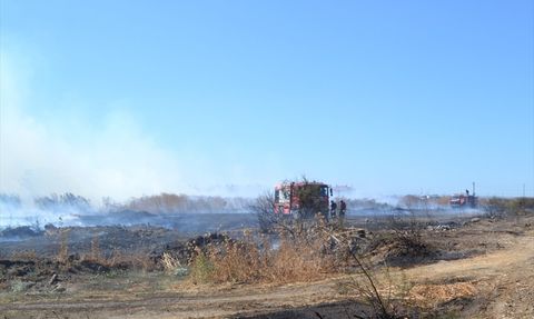 Bursa'da Çalılık Alanda Yangın Kontrol Altına Alındı