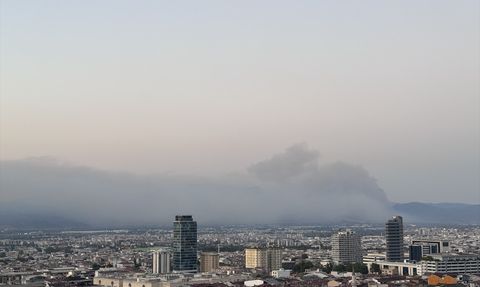 Bursa'da Orman Yangını: Kestel ve Gürsu Arasındaki Ekipler Mücadele Ediyor