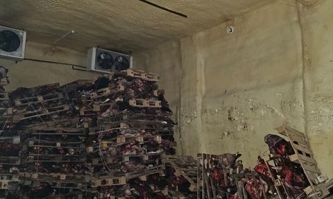 Bursa'da Sağlıksız Et Depolayan Ruhsatsız İşletme Mühürlendi