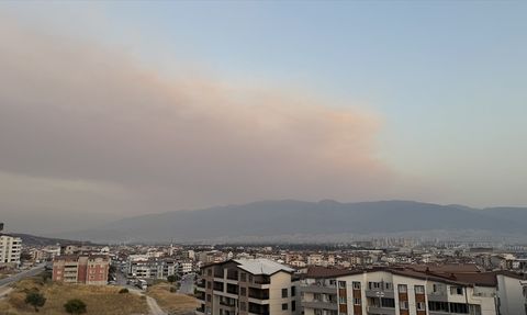 Bursa'daki Orman Yangını Dumanı Şehri Sardı