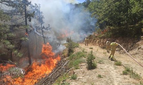 Bursa'daki Orman Yangınları Kontrol Altına Alındı