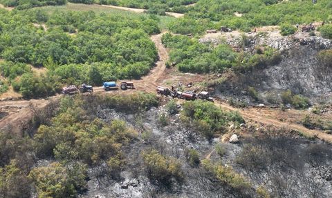 Bursa Mustafakemalpaşa'da Orman Yangını ile İlgili Tutuklama