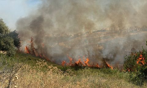 Büyükçekmece'deki Yangın Kontrol Altına Alınıyor