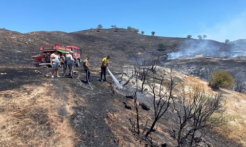 Çanakkale'de Orman Yangınına Hızla Müdahale Ediliyor
