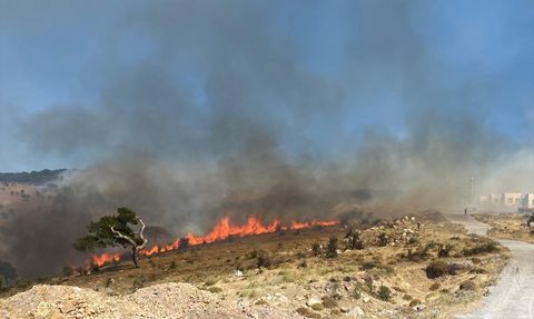 Çanakkale'de Orman Yangını: Tahliye İşlemleri Başlatıldı