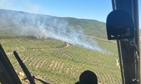 Çanakkale Lapseki'de Orman Yangınına Hızlı Müdahale