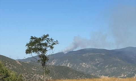 Çankırı'da Orman Yangını: Ekipler Mücadele Ediyor