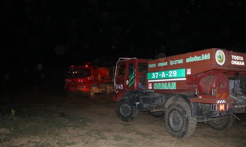 Çankırı'nın Ilgaz İlçesindeki Orman Yangını Kontrol Altında