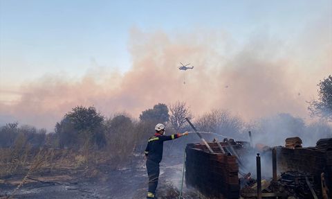 CEKUT Ekipleri Orman Yangınlarıyla Mücadelede Aktif Rol Oynadı