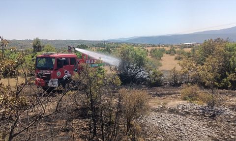 Çorum'da Orman Yangını Büyümeden Kontrol Altına Alındı