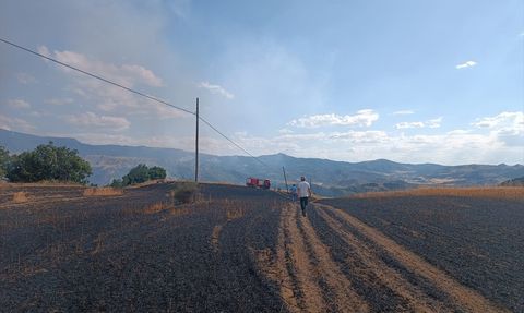Çorum Uğurludağ'da Yangın: 25 Dönüm Buğday Tarlası Zarar Gördü