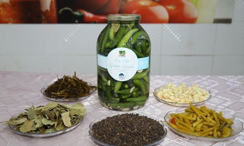 Çubuk Turşusunda Hasat Sezonu Başladı