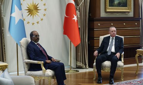 Cumhurbaşkanı Erdoğan ve Somali Cumhurbaşkanı Mahmud Görüşmesi