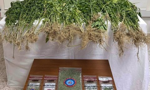 Denizli'de Uyuşturucu Operasyonu: 1 Tutuklama