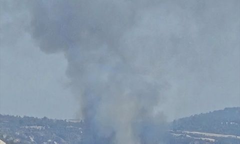 Denizli'nin Çal İlçesinde Orman Yangınına Müdahale Devam Ediyor