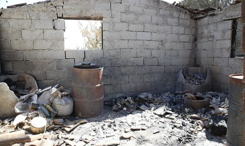 Deprem ve Orman Yangını: Aysel Erbaş'ın İkili Zorluğu