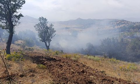 Diyarbakır'da Orman Yangınları Kontrol Altına Alındı