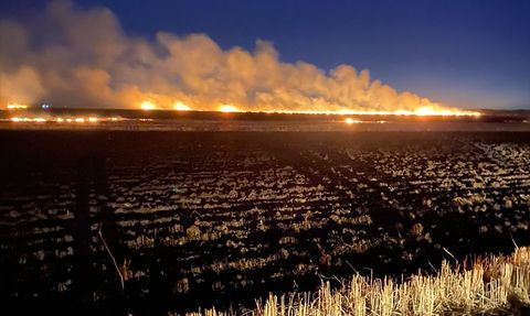 Diyarbakır'da Tarım Arazisinde Yangın Kontrol Altına Alındı