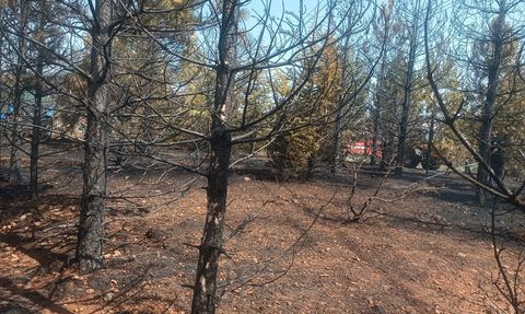 Doğanşehir'deki Orman Yangını Kontrol Altına Alındı