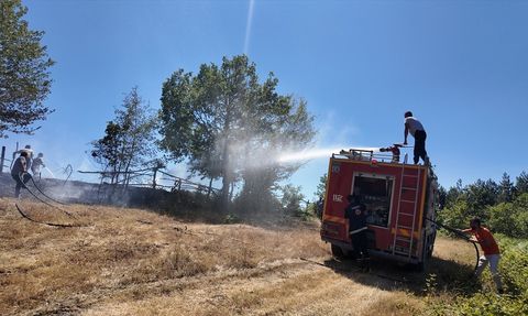 Düzce'de Yangın Kontrol Altına Alındı