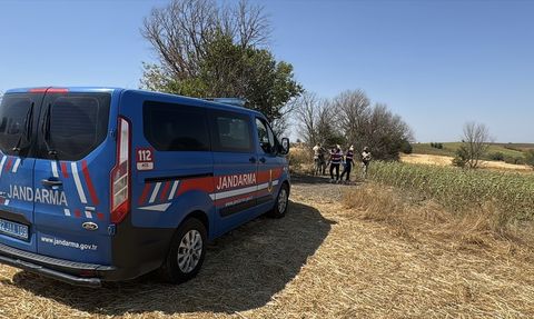 Edirne'de Ayçiçeği Tarlasındaki Cinayet