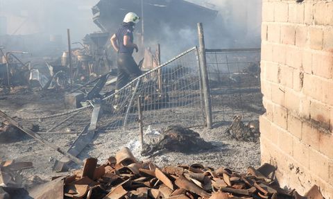 Edirne'de Yangın Felaketi: 80 Küçükbaş Hayvan Telef Oldu