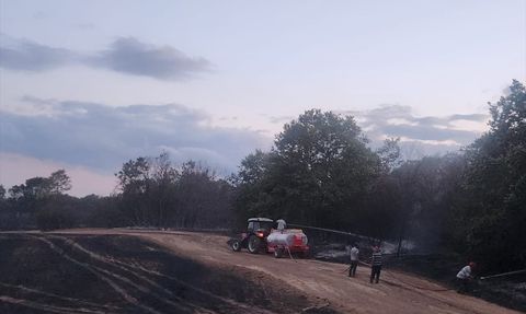 Edirne'deki Orman Yangını Kontrol Altına Alındı