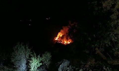 Elazığ'daki örtü yangını kontrol altına alındı