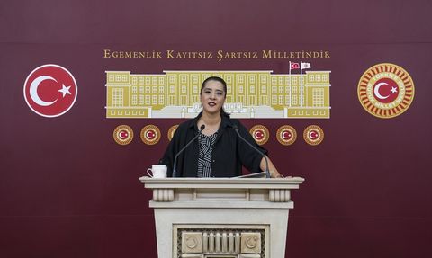 EMEP'li Demir'den Proje Okulları Yönetmeliği'ne Eleştiri