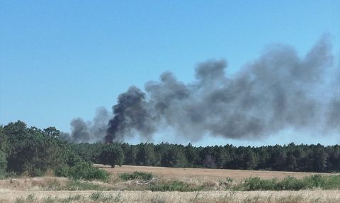 Enez'de Orman Yangını Kontrol Altına Alındı