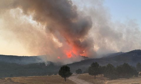 Eskişehir'deki Orman Yangını Afyonkarahisar'a Ulaştı