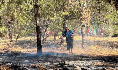 Fethiye'de Orman Yangınına Ekipler Müdahale Ediyor