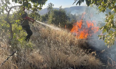 Gabar Dağı'ndaki Orman Yangınına Müdahale Devam Ediyor